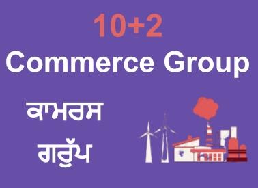 commerce group 10+2