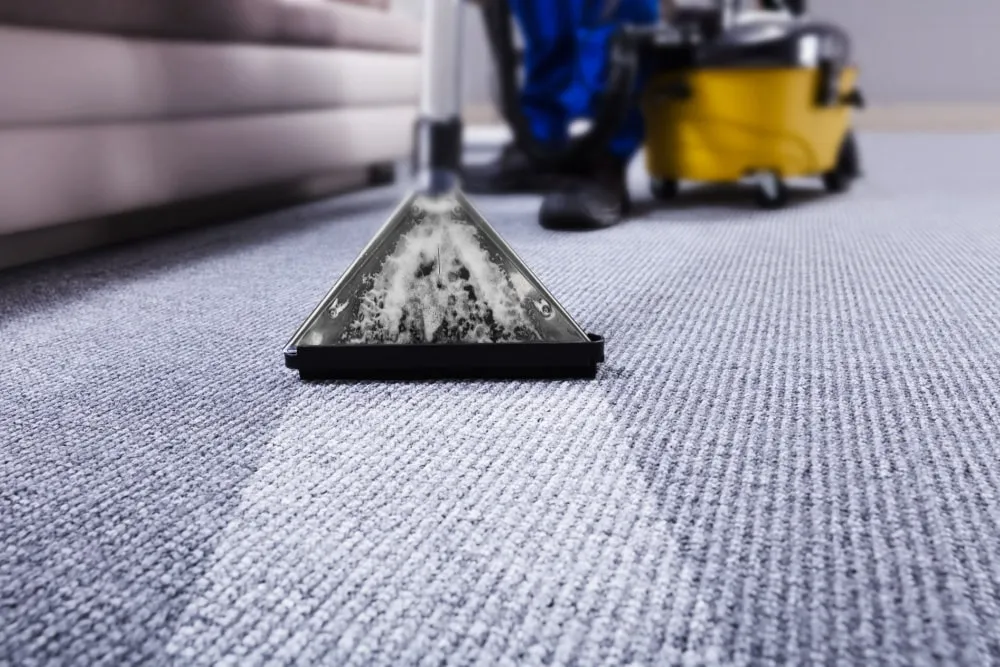 How Carpet Cleaning Services Transform Your Home’s Comfort and Airflow